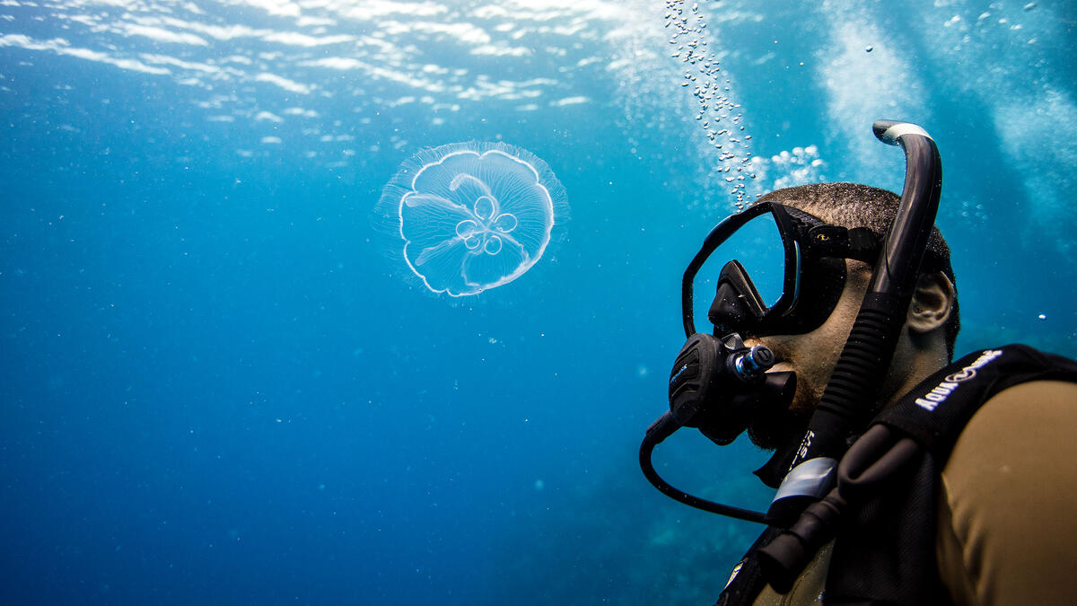 Scuba diving