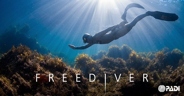 Freediving sessions