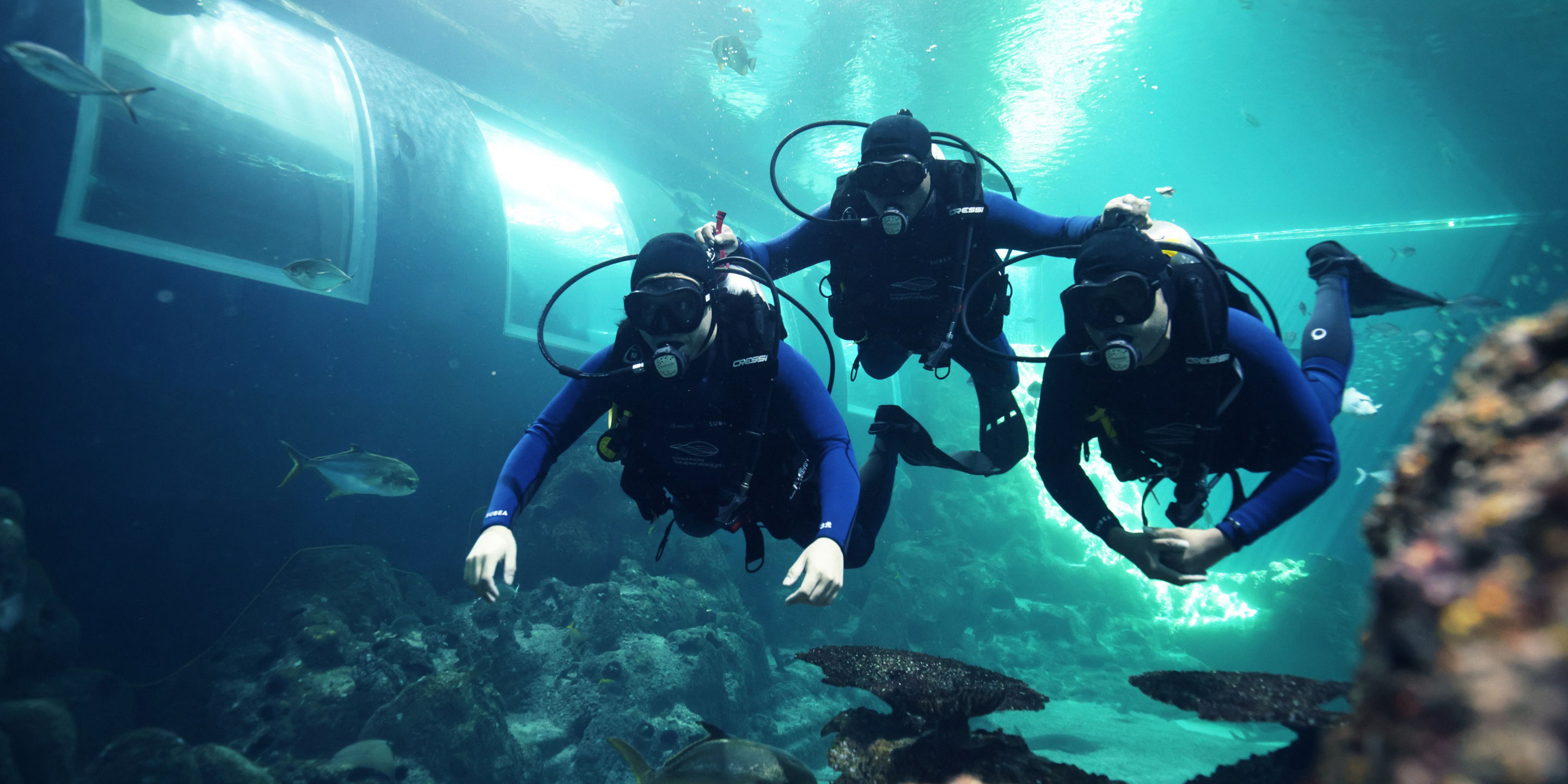 Discover Scuba Diving (Non-Certified Divers)